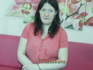 Wildsakura