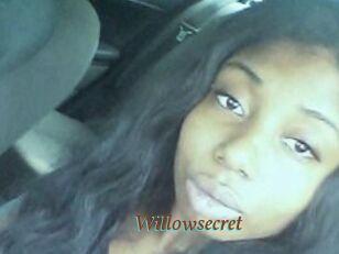 Willow_secret