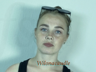 Wilonacaudle