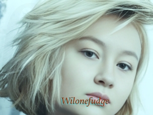 Wilonefudge