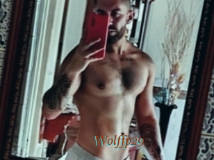 Wolffp29