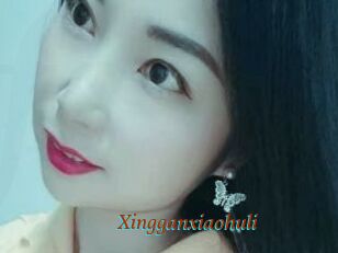 Xingganxiaohuli