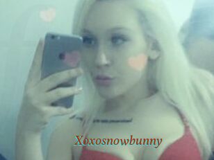 Xoxosnowbunny