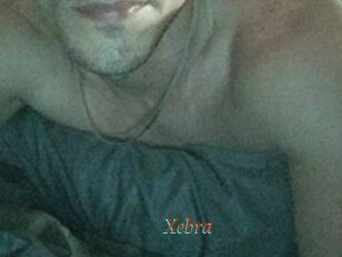 Xebra