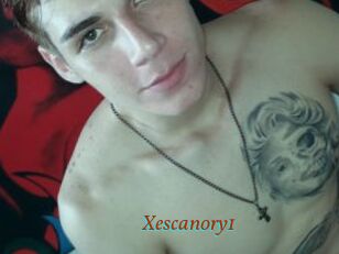 Xescanory1