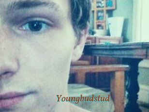 Youngbudstud