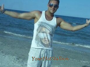YourHotStallion