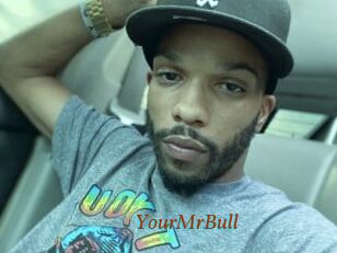 YourMrBull