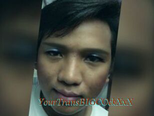 YourTransBIGCOckXxX