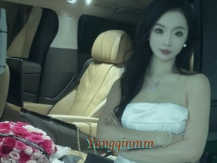 Yangqinmm