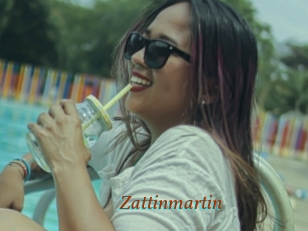 Zattinmartin