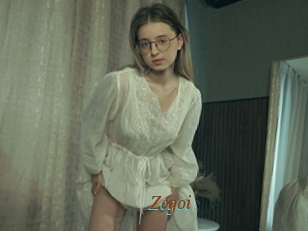 Zegoi