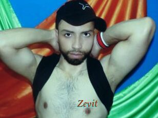 Zevit